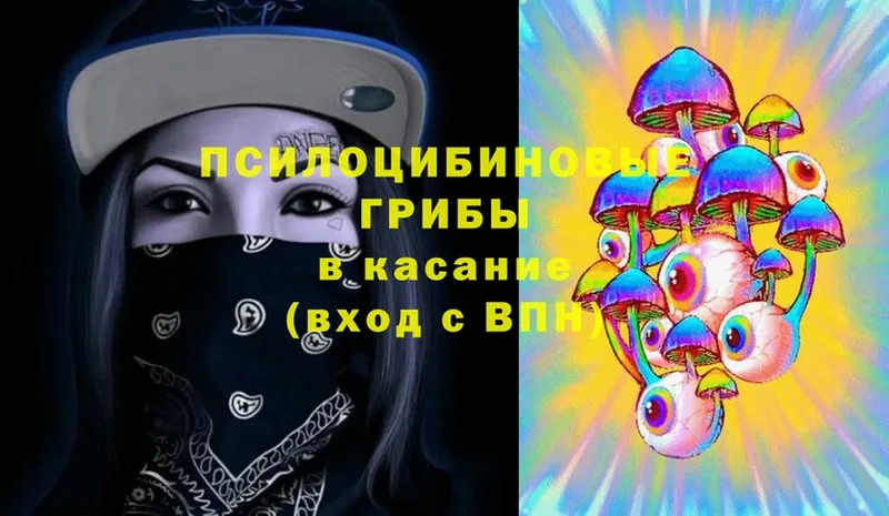 Псилоцибиновые грибы Magic Shrooms  купить наркоту  Барабинск 